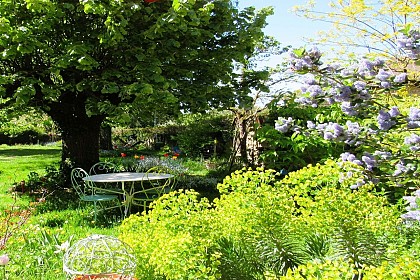 Jardin Fauves