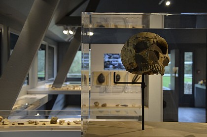 MUSÉE DE PRÉHISTOIRE