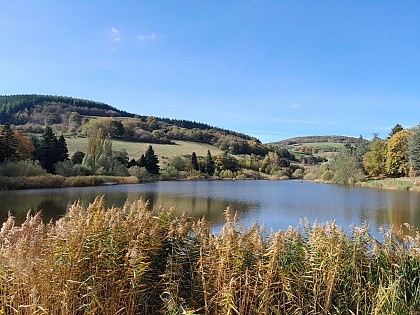 Lac du Ronzey