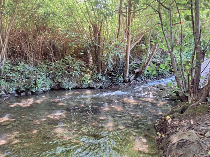 La cascade