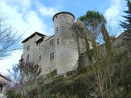 Château de Cas