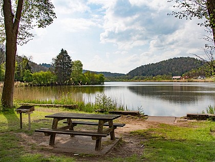 Étang de Baerenthal