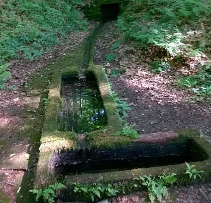 Drinking trough of Neubach