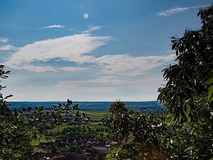 Buckelstein Viewpoint