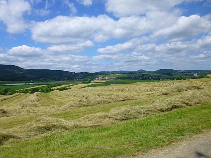Rott et le piémont des Vosges du Nord