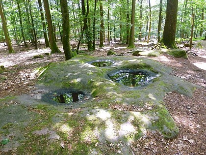 Stones with cup marks