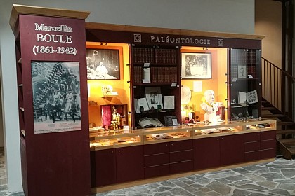 Marcellin Boule's cabinet of curiosities