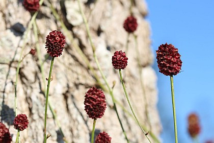 Entre plaines et vallons