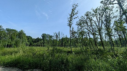 Prairie des Tue-Vaches in Presles-et-Thierny