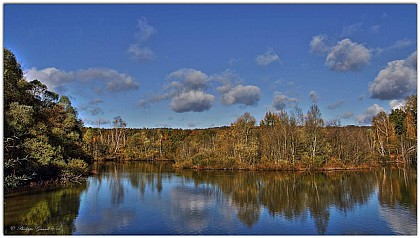 Circuit 1 VTT 19 kms  Balade familiale sur les sentiers forestier au départ du camping du Parc du Gué