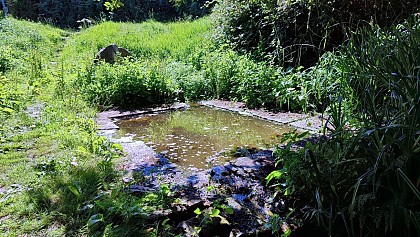 Fontaine et lavoir de Kerbastard | Plouguiel