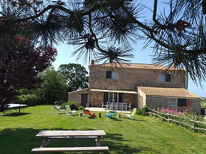 Le Figuier