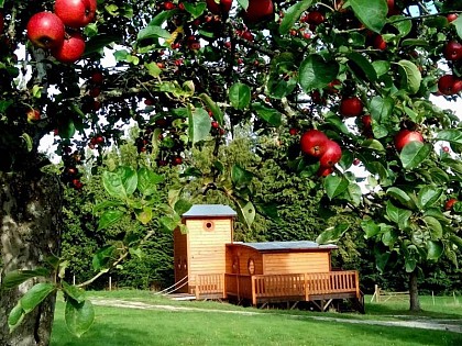 Gîte Le chalet Tchanqué de la forêt