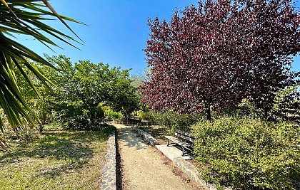 JARDIN MÉDITERRANÉEN