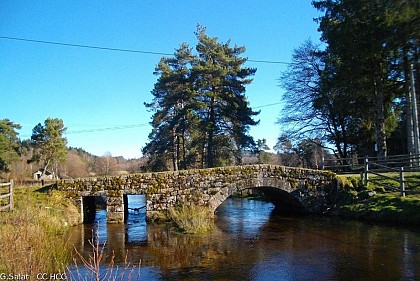 La Vienne