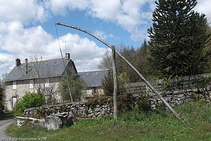 The Pendulum Well