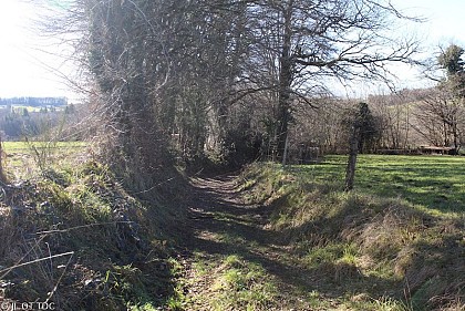 Le chemin creux