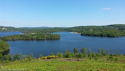 Point de vue