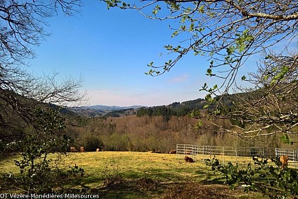 The Puy d'Orliac
