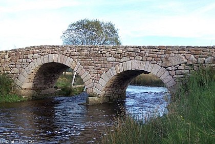The Vienne