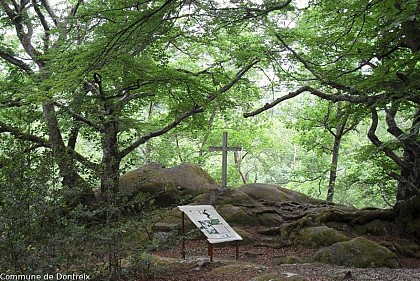Rochers de Saint Julien dans la forêt de Drouille