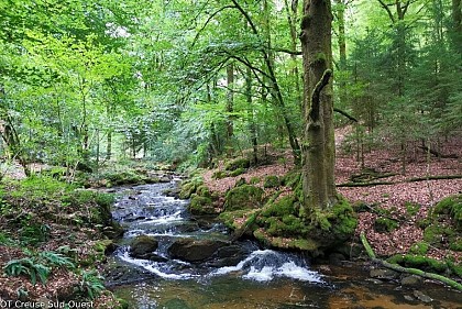 Les Cascades d’Augerolles