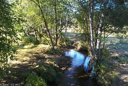 Le Vianon