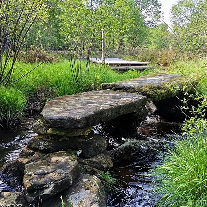 The plank bridges