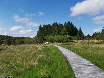 La Mazure peat bog