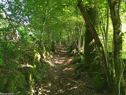 Les chemins creux