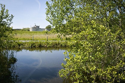 réserve naturelle des marais de Condette