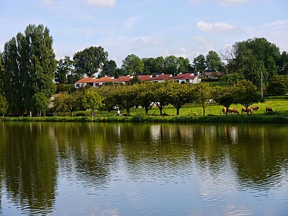 Gite les terres de l'étang