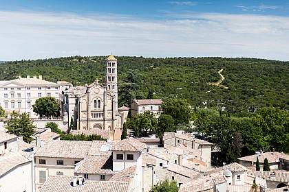 Cathédrale Saint-Théodorit et Saint-Firmin