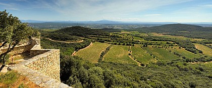 Château de Gicon