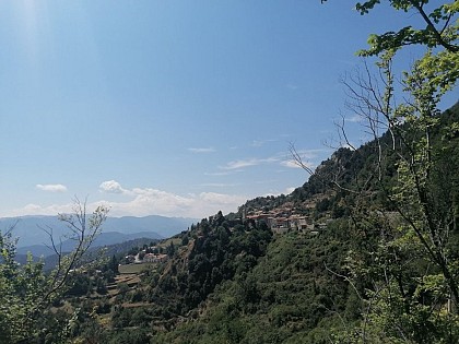 Toudon