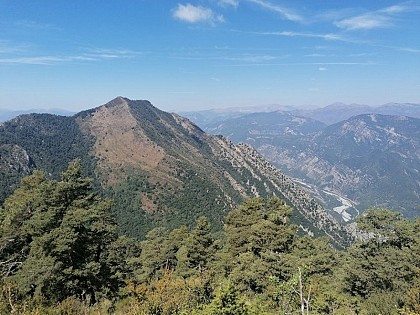 Point de vue