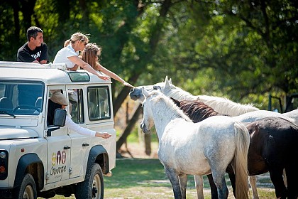 Camargue Autrement