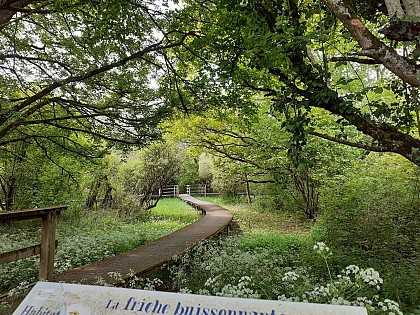 Les Jardins de la Clouère