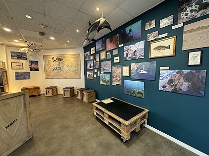 Exposition : Au fil de nos expéditions