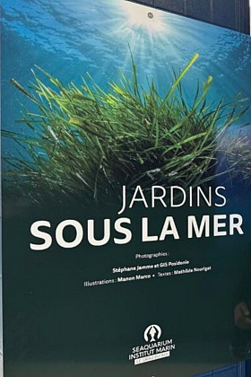 Exposition : Jardins sous les mers