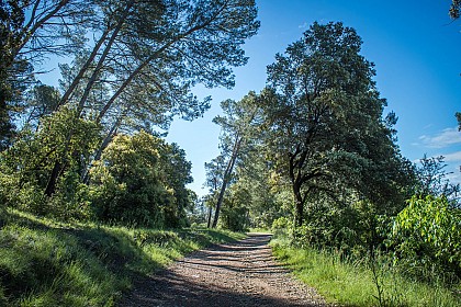 Domaine d'Escattes