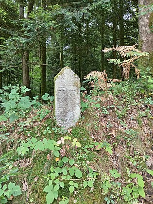 La Forêt d'Ecouves