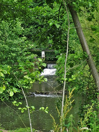 Buckelmuehle