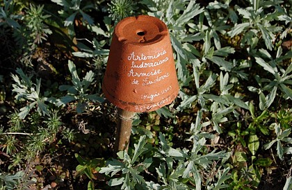 Jardins de la Baie de Somme : Herbarium, Fruticetum, Rues Fleuries