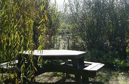 Le Marais des Cavins