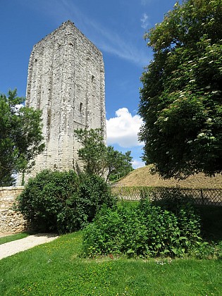Tour Carrée et son jardin d'inspiration médiévale