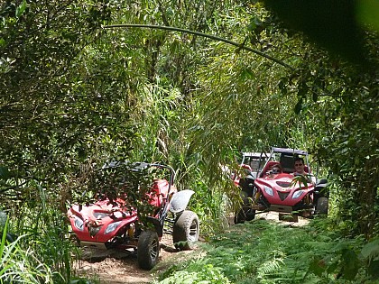 Randonnée en buggy sur la côte sud caraïbe de la Martinique - Au départ de Sainte-Anne