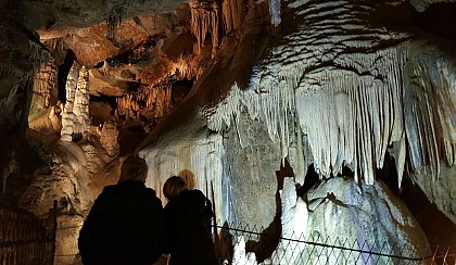LES GROTTES DE MEDOUS