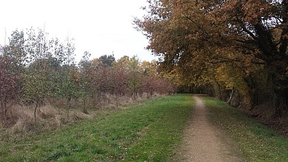 Parc des Poumons Verts