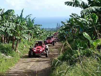 Randonnée en buggy sur la côte nord atlantique de la Martinique - Au départ de Basse-Pointe